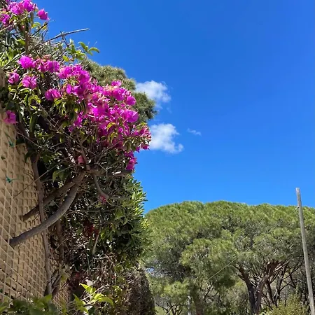 Amantea Villa