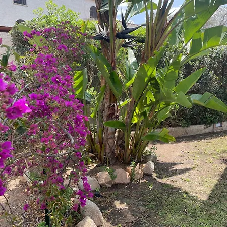 Amantea Villa *