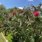 Amantea