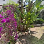 Amantea Villa *