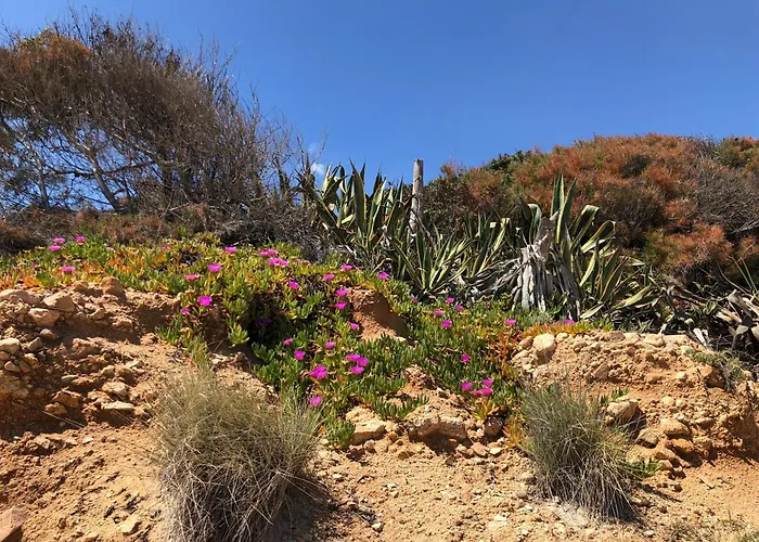 Amantea Villa Santa Margherita di Pula