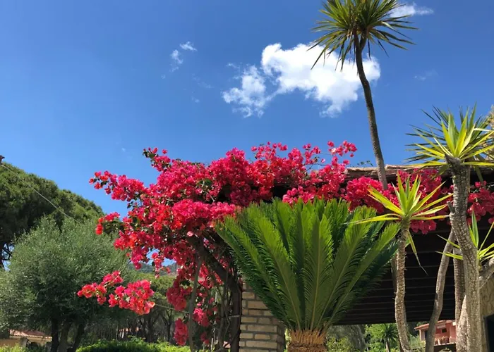 Villa Amantea Santa Margherita di Pula