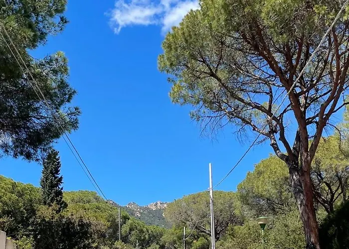 Amantea Santa Margherita di Pula