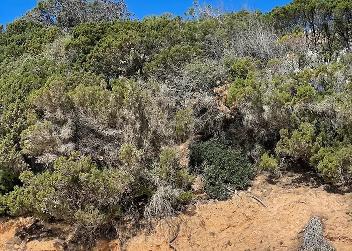 Villa Amantea Santa Margherita di Pula